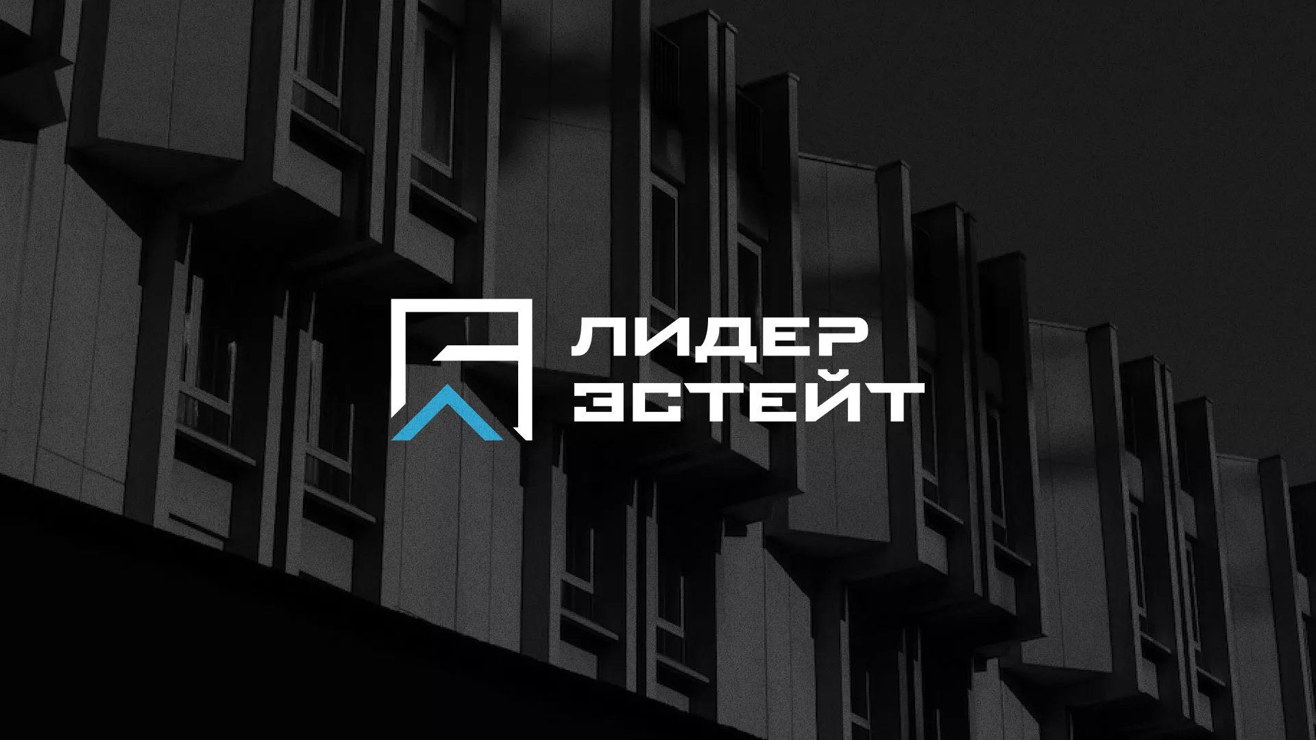 Разработка логотипа агентства недвижимости «Лидер Эстейт» в Выксе